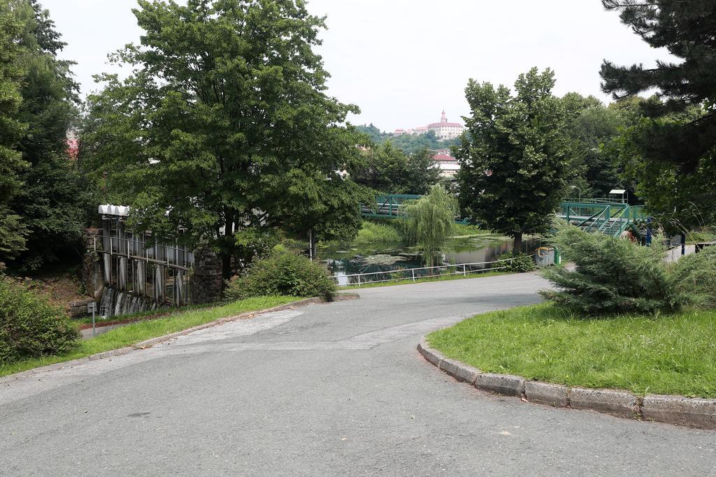 Zimni Stadion